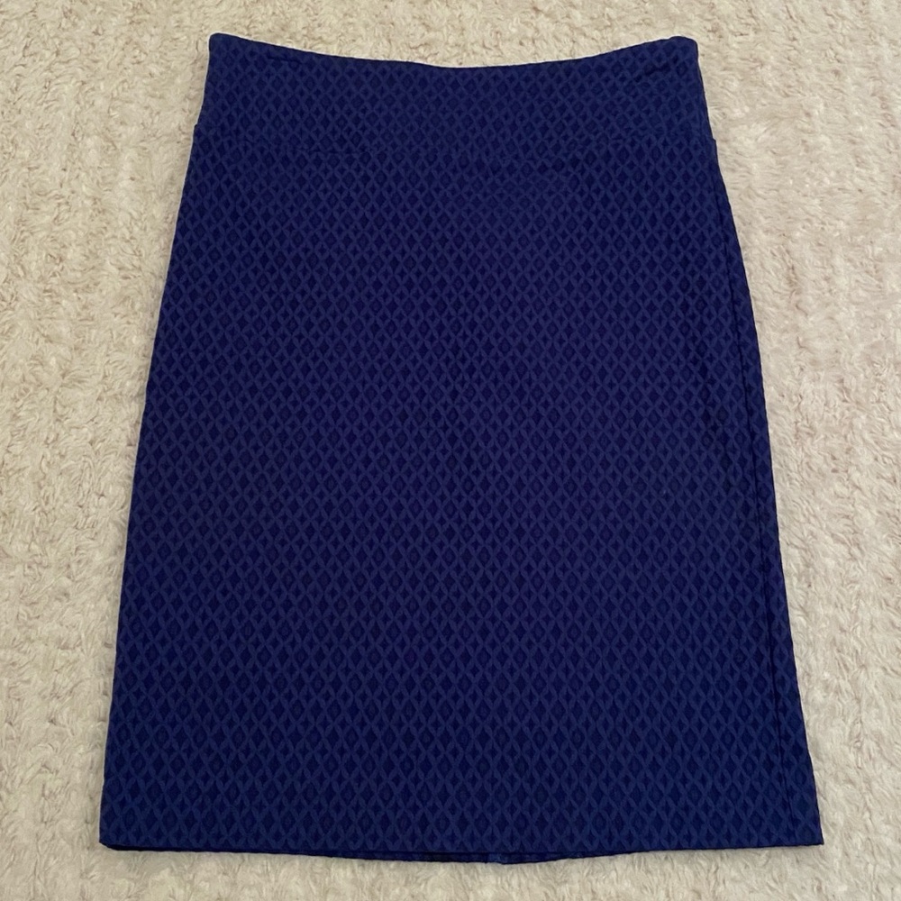 Blue Stretch Pull-On Skirt